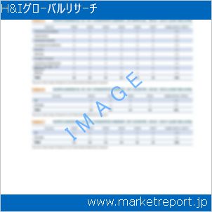 市場と産業調査レポートのイメージ